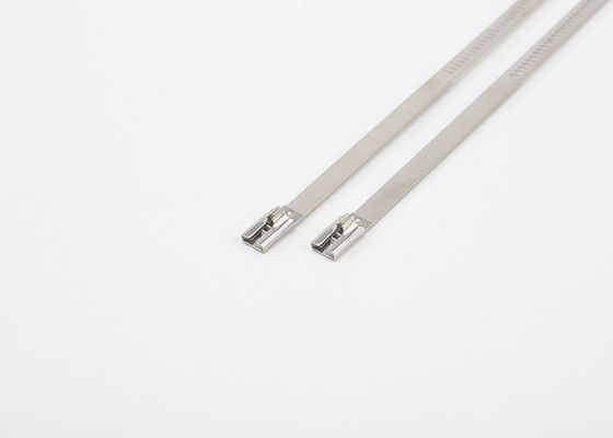 Quick Release 304 Stainless Steel Cable Zip Ties 12mm